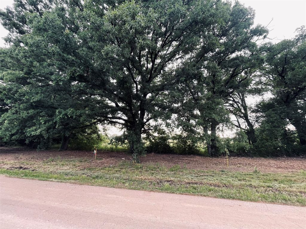 LOT 4 COUNTY ROAD 1560, Alba, TX 75410