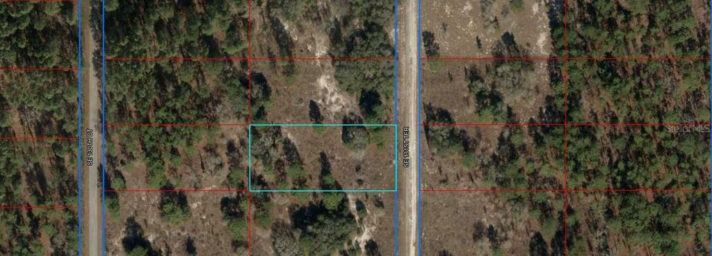 00 SE 131ST TERRACE, Dunnellon, FL 34431