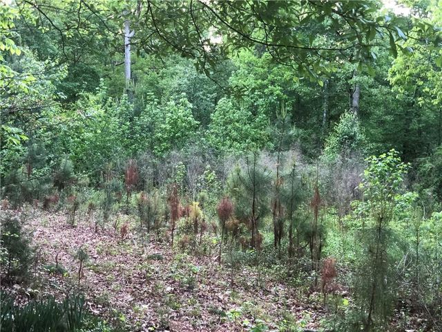 2165 Old Salem Road SE, Conyers, GA 30013