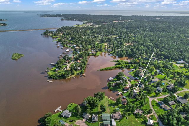 119 Elm Drive, Onalaska, TX 77360