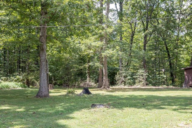 1004 Chestnut Ridge Road, Spring City, TN 37381