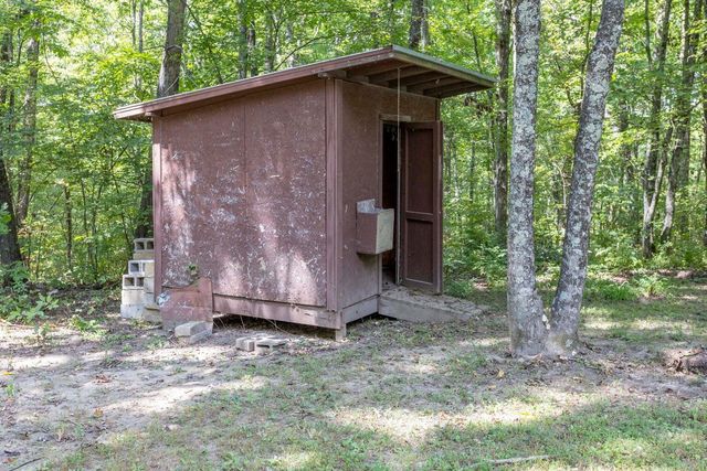 1004 Chestnut Ridge Road, Spring City, TN 37381