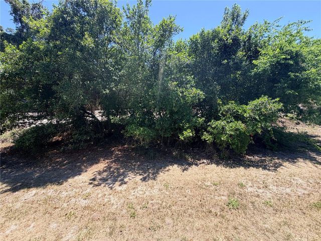 2216 MAYFLOWER AVENUE, Apopka, FL 32703