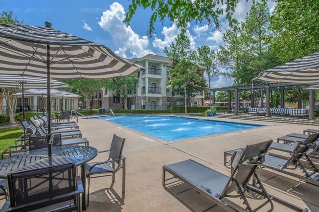 11355 Richmond Avenue 0706, South Houston, TX 77082