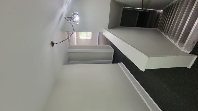 19 N Webster Street 2, Naperville, IL 60540