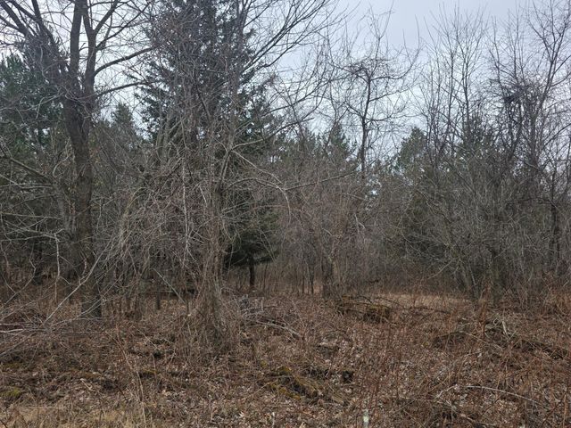 L11,B1 288th Ave Avenue NW, Zimmerman, MN 55398