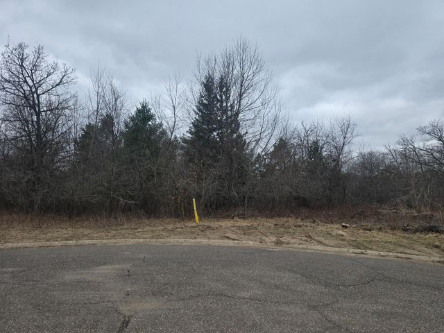 L11,B1 288th Ave Avenue NW, Zimmerman, MN 55398