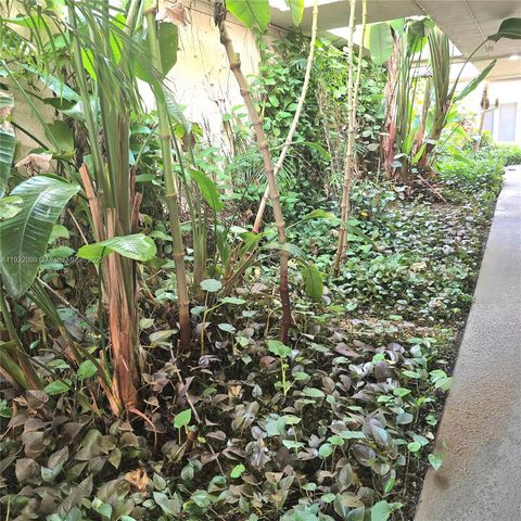 14500 SW 88th Ave 255, Palmetto Bay, FL 33176