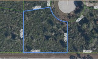 225 HELLCAT Way NW, Lake Placid, FL 33852