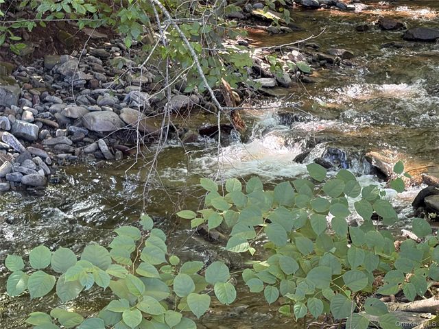 5 Bethlehem Road, Callicoon Center, NY 12776