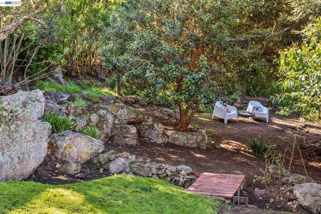 491 VINCENTE AVENUE, Berkeley, CA 94707