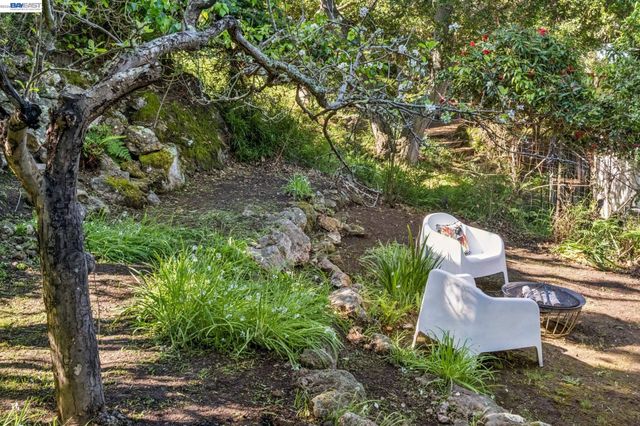 491 VINCENTE AVENUE, Berkeley, CA 94707