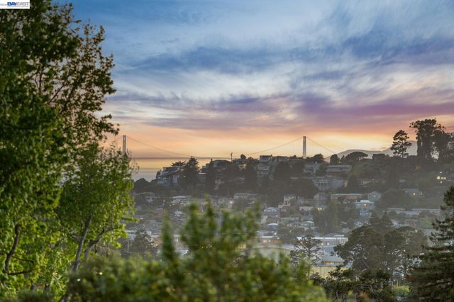 491 VINCENTE AVENUE, Berkeley, CA 94707