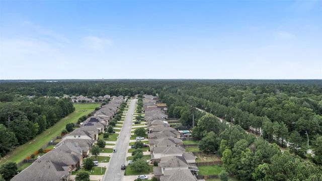 9987 Sterling Place Drive, Conroe, TX 77303