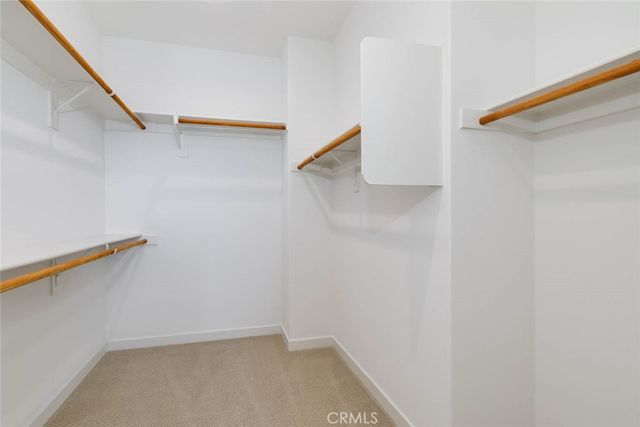 73 Culture, Irvine, CA 92618