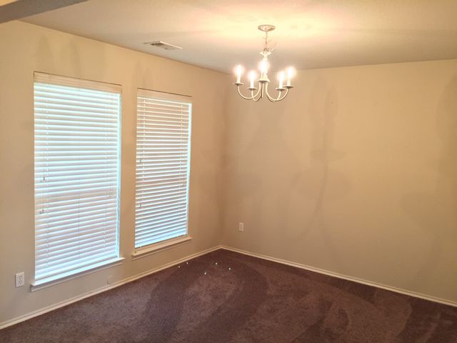 201 Pagoda Drive, Anna, TX 75409