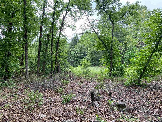 23388 FM 1995, Lindale, TX 75771