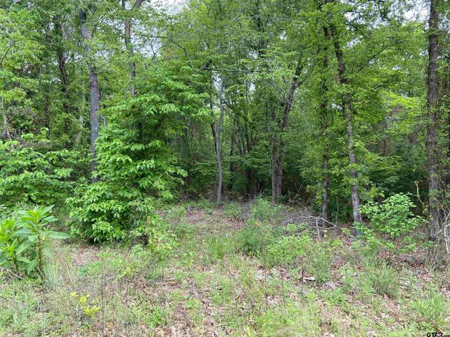 23388 FM 1995, Lindale, TX 75771
