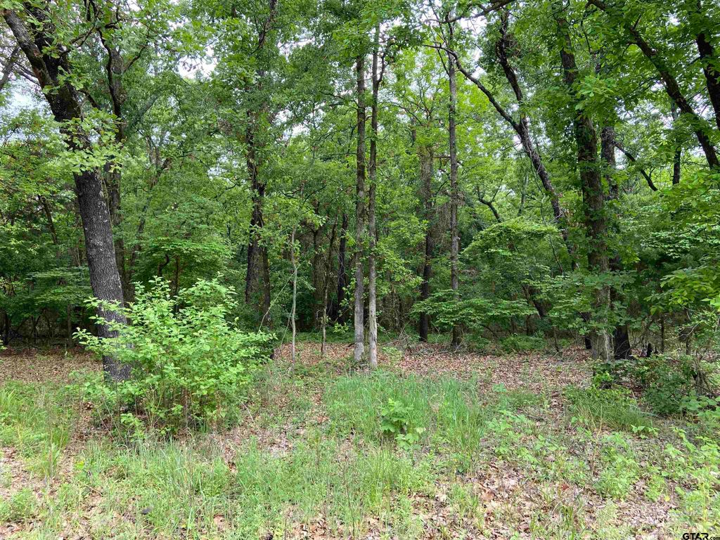 23388 FM 1995, Lindale, TX 75771