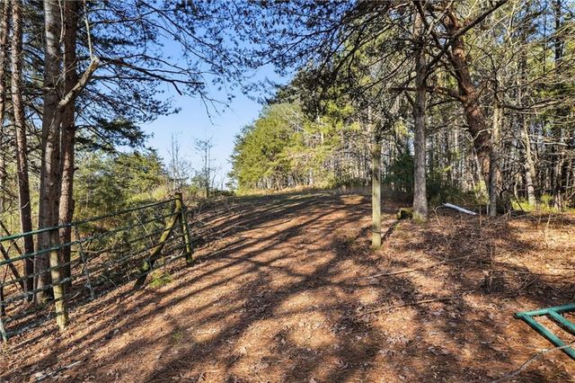 1139 Davis Road W, Fairmount, GA 30139