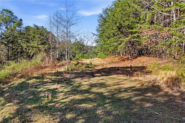 1139 Davis Road W, Fairmount, GA 30139