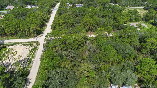 15281 Mottled Owl Road, Weeki Wachee, FL 34614