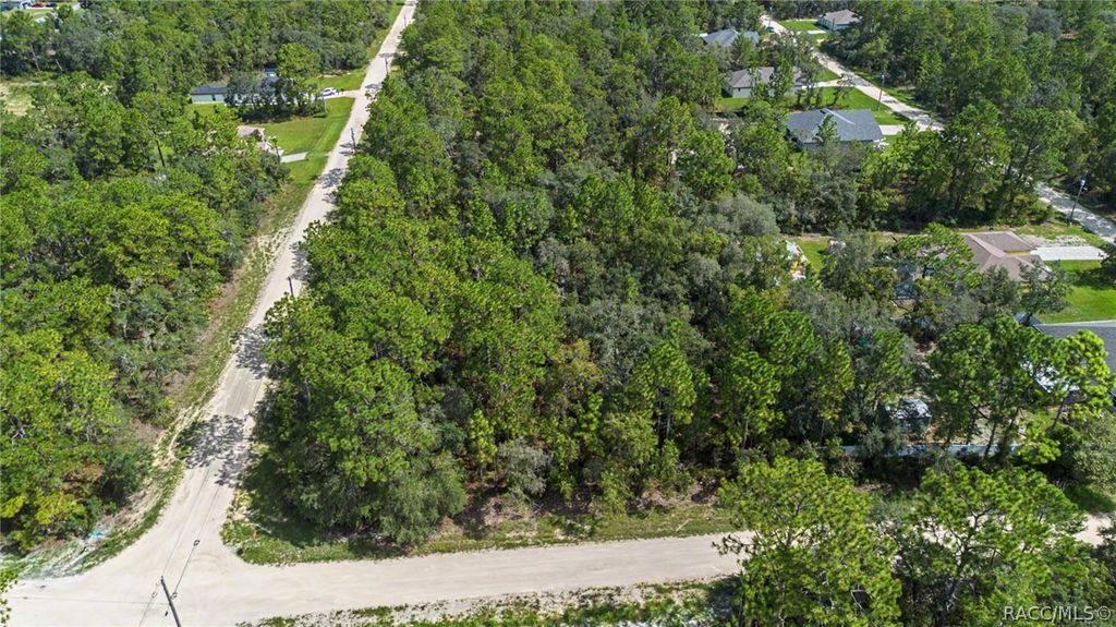 15281 Mottled Owl Road, Weeki Wachee, FL 34614