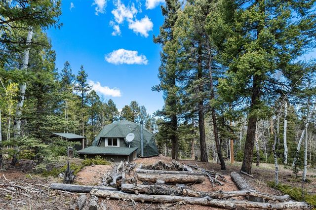 776 Jolly Rogue Drive, Divide, CO 80814