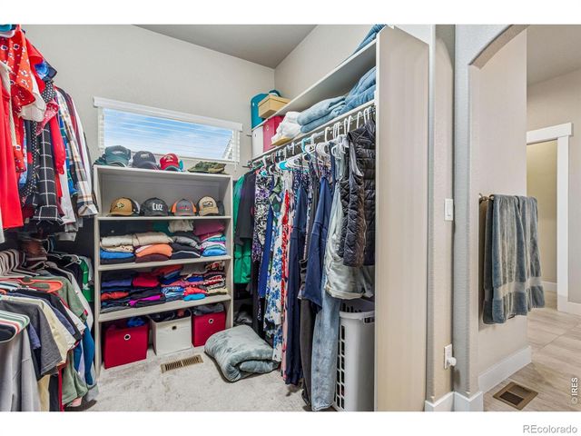 7161 Silver Court, Timnath, CO 80547