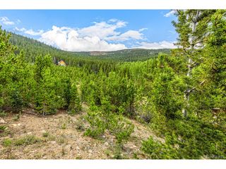 Aspen Rd, Idaho Springs, CO 80452