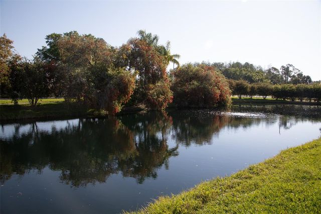 208 HEMINGWAY DRIVE, Oldsmar, FL 34677