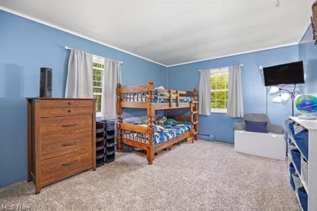 6258 Kennard Road N, Medina, OH 44256