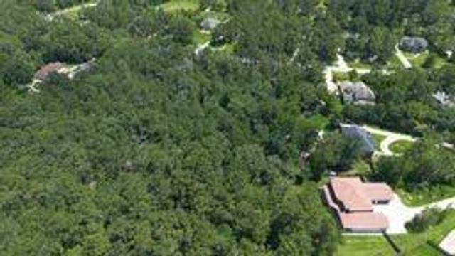 11721 Great Oak Boulevard Boulevard, Conroe, TX 77385