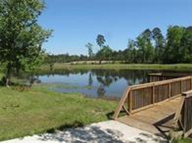 11721 Great Oak Boulevard Boulevard, Conroe, TX 77385