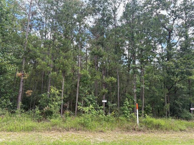 11721 Great Oak Boulevard Boulevard, Conroe, TX 77385