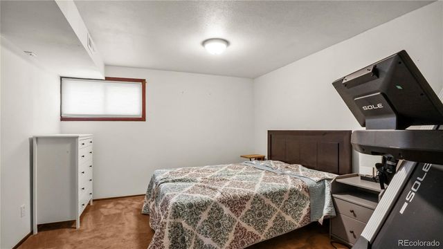 220 Wildflower Drive, Woodland Park, CO 80863