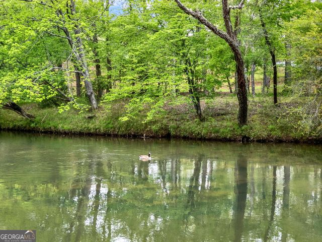 133 Muller Lane 2691, Ellijay, GA 30540