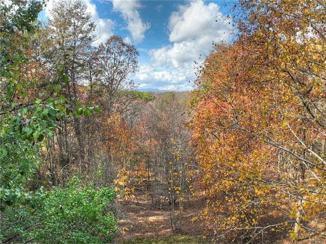100 Arrow Way, Mineral Bluff, GA 30559