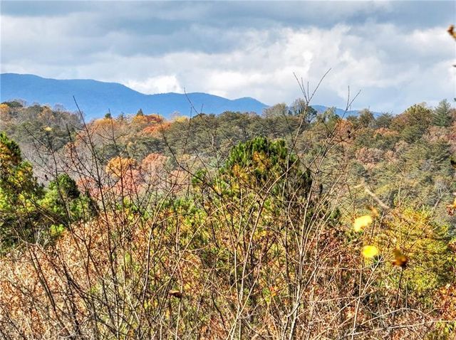 100 Arrow Way, Mineral Bluff, GA 30559