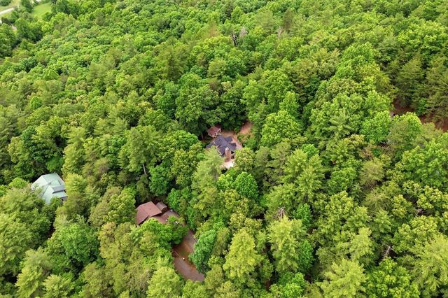 165 Amelia Lane, Blue Ridge, GA 30513