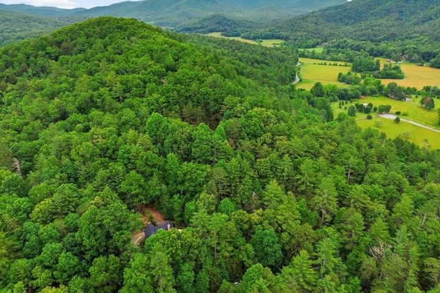 165 Amelia Lane, Blue Ridge, GA 30513