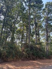 1920 Caldwell Street, Livingston, TX 77351