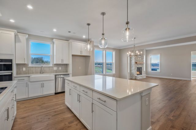 4036 Willow Belle Drive, Mount Juliet, TN 37122