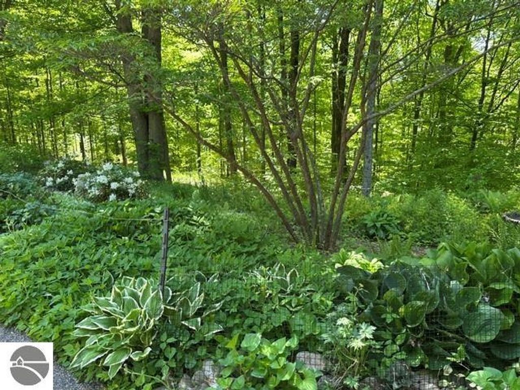 Image 13 of property listing at 3285 S East Torch Lake Drive, Bellaire, MI 49615