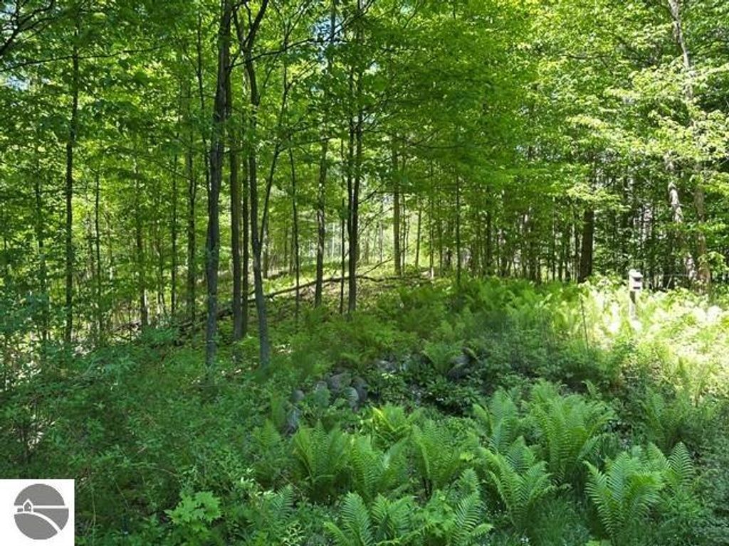 Image 14 of property listing at 3285 S East Torch Lake Drive, Bellaire, MI 49615