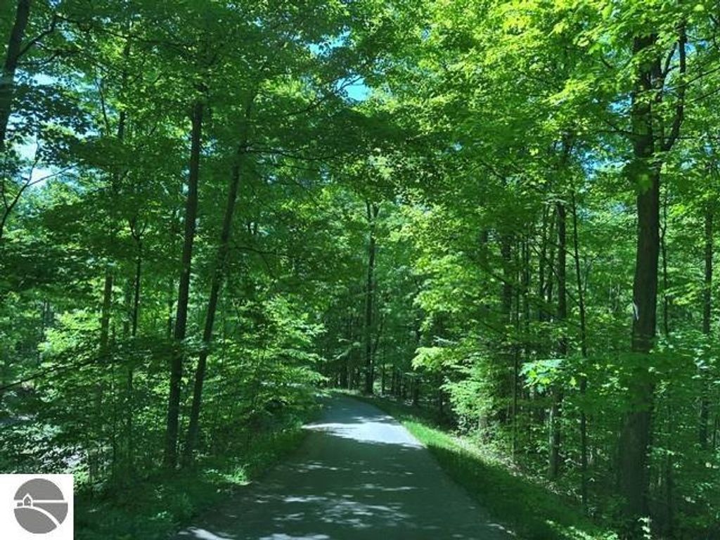 Image 51 of property listing at 3285 S East Torch Lake Drive, Bellaire, MI 49615