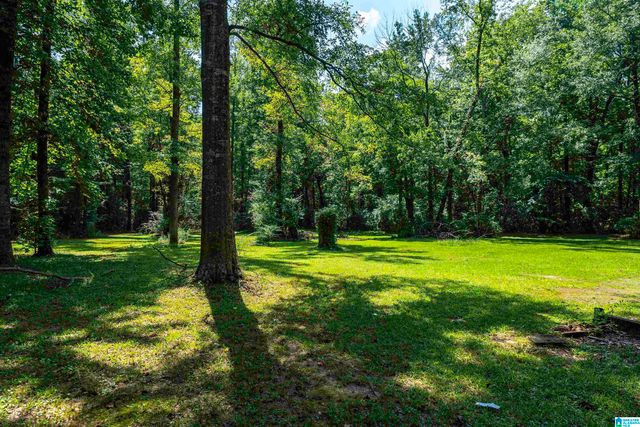 22144 TRACE LANE, Mccalla, AL 35111