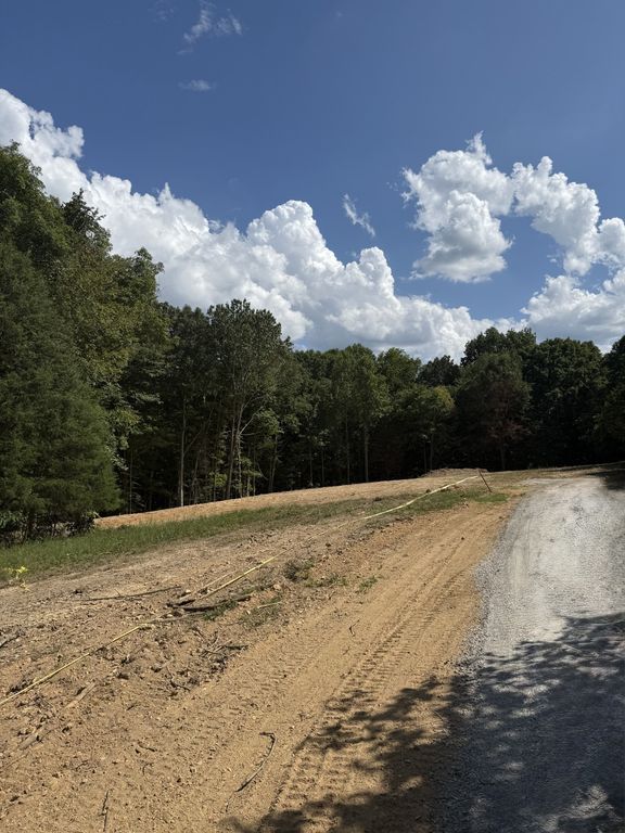 2967 Lights Chapel Rd, Greenbrier, TN 37073