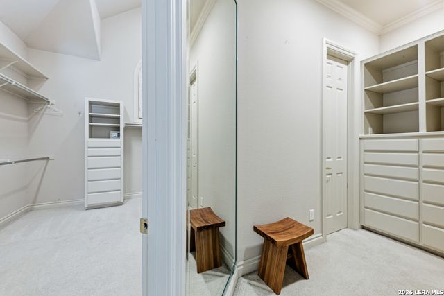519 Blackjack Oak, Shavano Park, TX 78230