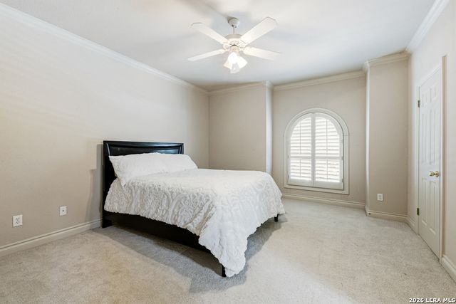 519 Blackjack Oak, Shavano Park, TX 78230